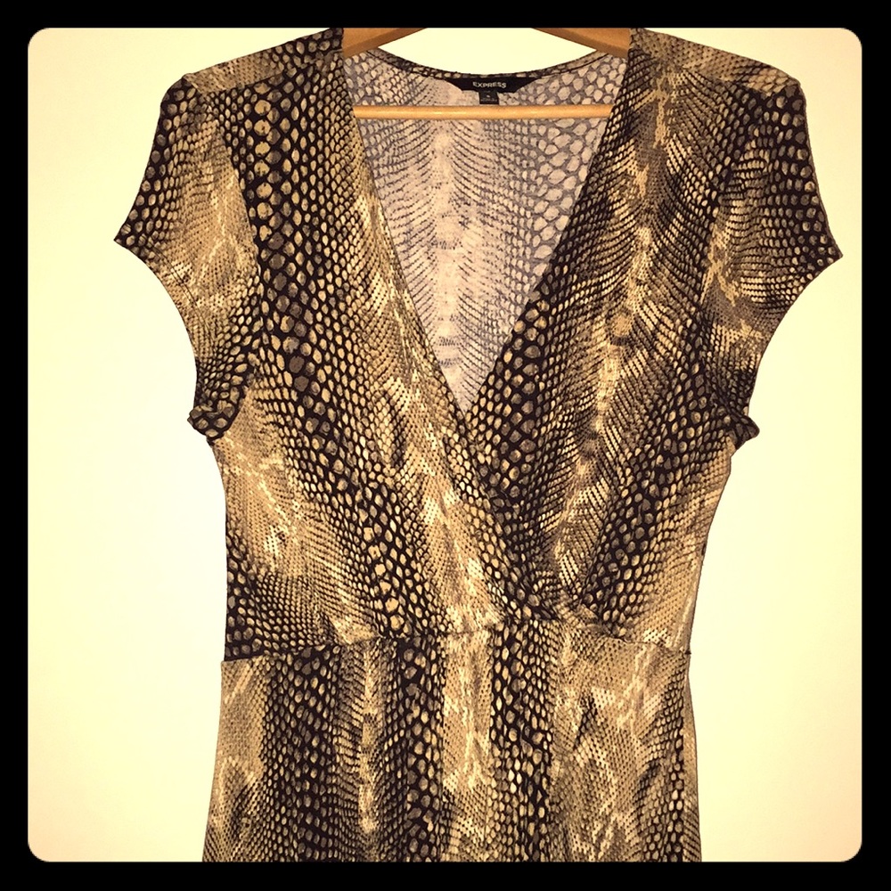 Express Snake-Print Dress